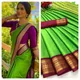 PERROT & MARUN__Panihari  Saree