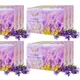 Pack Of 12__Geo OrganiX