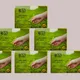 Pack Of 6__Geo OrganiX