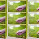 Pack Of 9__Geo OrganiX