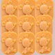 Pack Of 9__Geo OrganiX