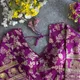 Purple__Blouse Collection