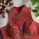 Red__Blouse Collection