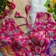 Rama__Blouse Collection