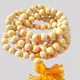 White__Nilay The Exclusive Store