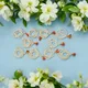 Pack Of 10__Nilay The Exclusive Store
