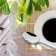 Pack Of 6__Nilay The Exclusive Store
