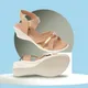 Beige__Zuliet Collection