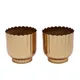 Gold__Amaya Decors
