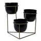 Gold & Black__Amaya Decors
