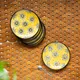 Yellow__Dyana Core