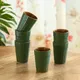 ForestGreenEarthyBrown__Dyana Core