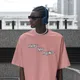 Flamingo__Aesthletic