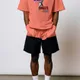 Flamingo__Aesthletic