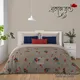 Multicolor__Bedsheet Adda