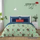 Multicolor__Bedsheet Adda
