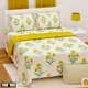 Multicolor__Bedsheet Adda