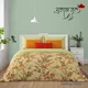 Multicolor__Bedsheet Adda