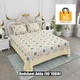 Multicolor__Bedsheet Adda