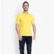 Yellow__Genzyvault