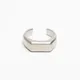 Satin Silver__Zach