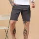 Grey__Dogi Verg