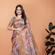 Multicolor & Gold__Wearifie