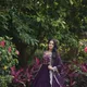 WINE__SAJAVAT