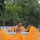 YELLOW__SAJAVAT