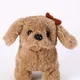 Brown__Aarohi toys