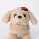 Mud Brown__Aarohi toys