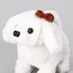 White__Aarohi toys