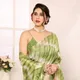 Green__Bandhani Villa