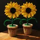 Yellow Green Brown
