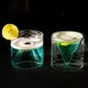 Pack Of 2__Borotech