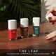 Forest Green,Coral Pink,Dark Caramel__The Leaf