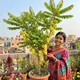 Yellow__Exoticsflora