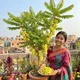 Yellow__Exoticsflora