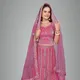 Pink__Anquera Exim