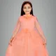 Peach__Roshni garments