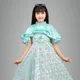 Green__Roshni garments
