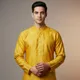 Yellow Aari__Aadi Shuddh