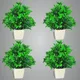 Pack Of 4__Jdtraderspoint
