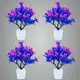 Pack Of 4__Jdtraderspoint