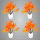 Pack Of 4__Jdtraderspoint