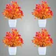 Pack Of 4__Jdtraderspoint