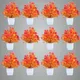 Pack Of 12__Jdtraderspoint