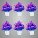 Pack Of 6__Jdtraderspoint