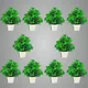 Pack Of 10__Jdtraderspoint