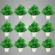 Pack Of 12__Jdtraderspoint